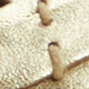 Seafish 3 Flip Flop Sandal - Image 14